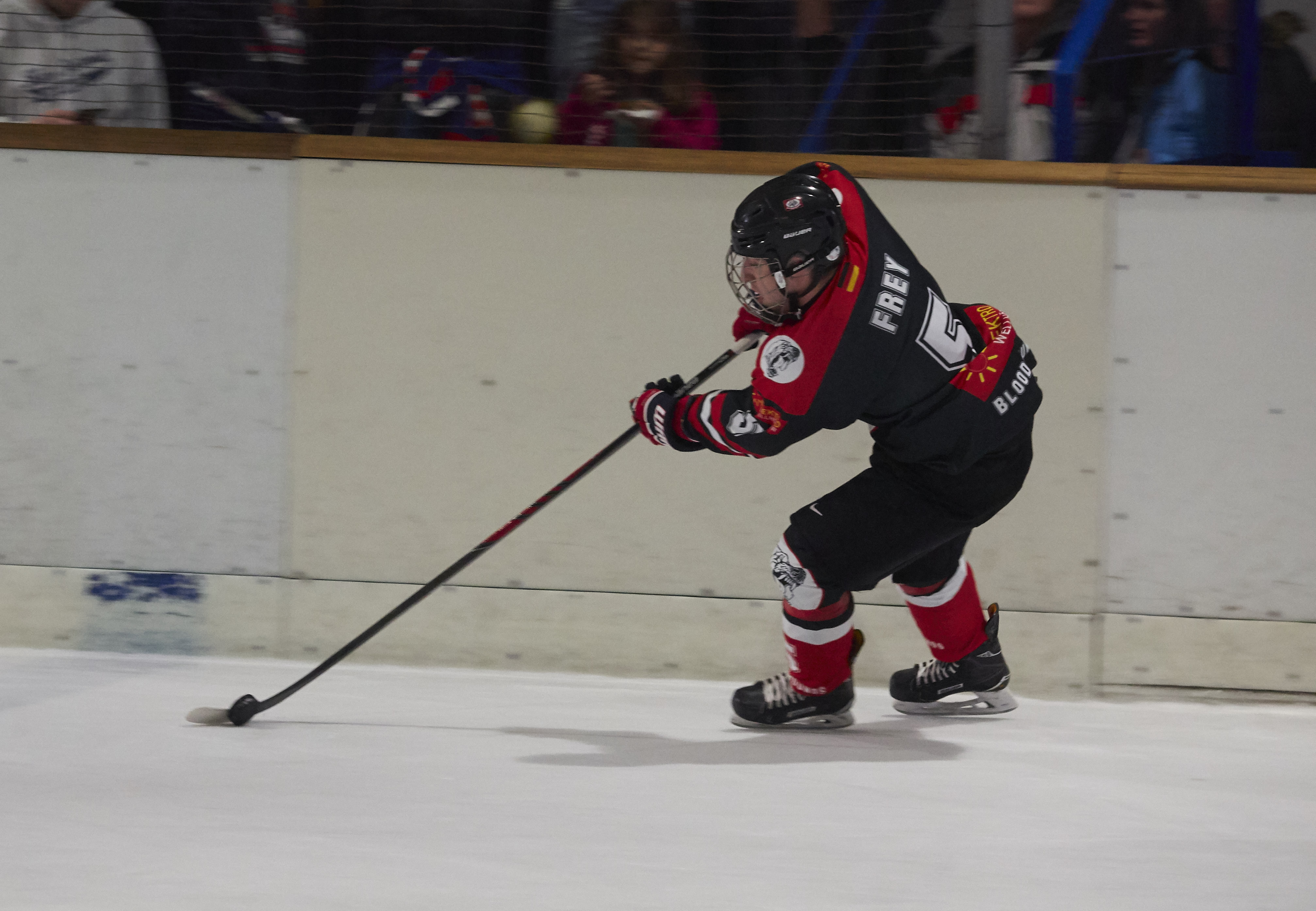 DPL Finale 2018 P4080865